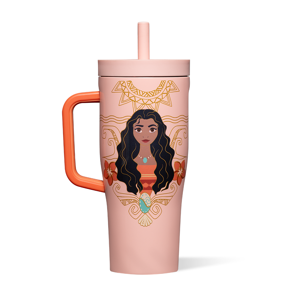 disney-princess-leakproof-cruiser-v6 DIS2222DP-M-01.png
