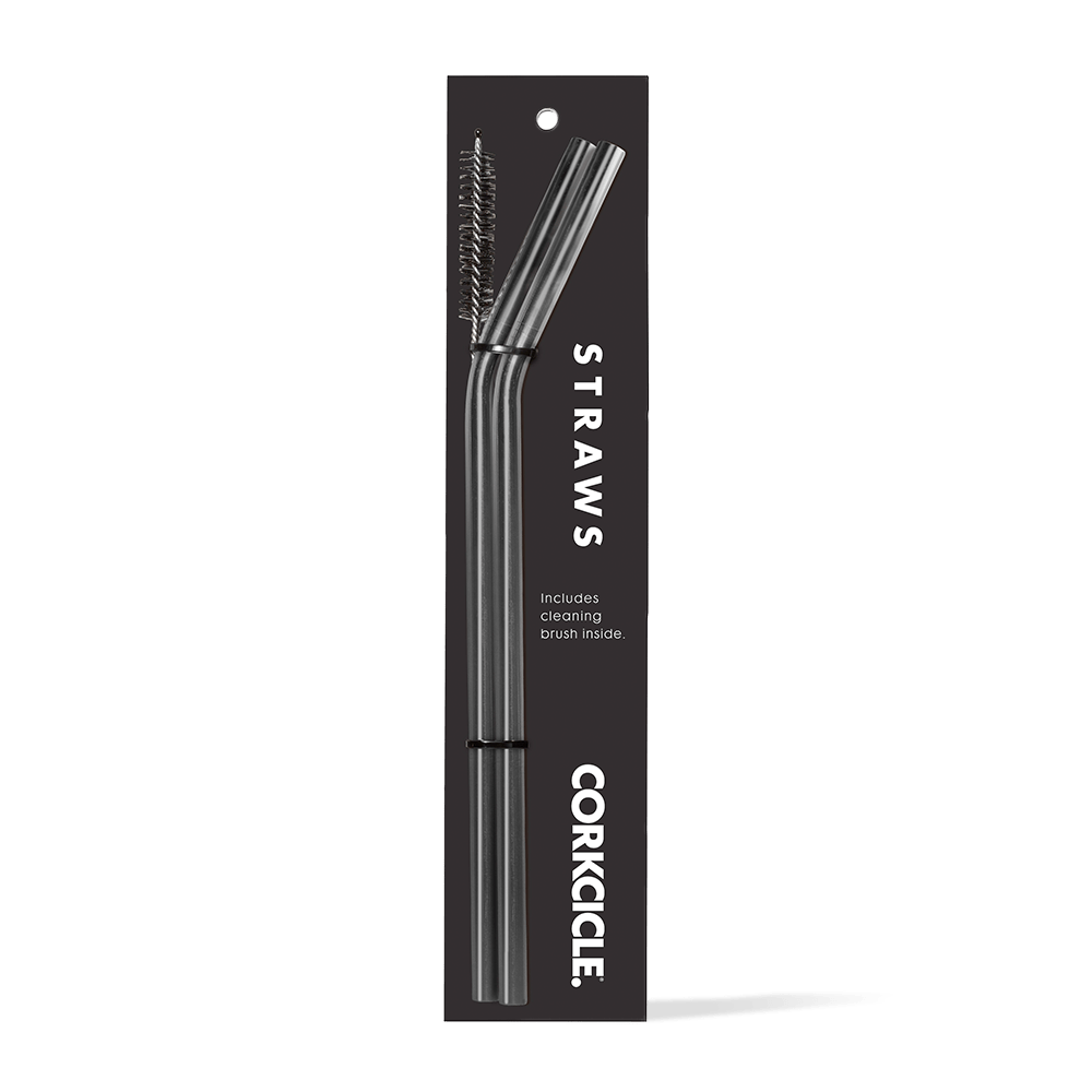 tumbler-straw-2-pack-e4 gunmetal.png